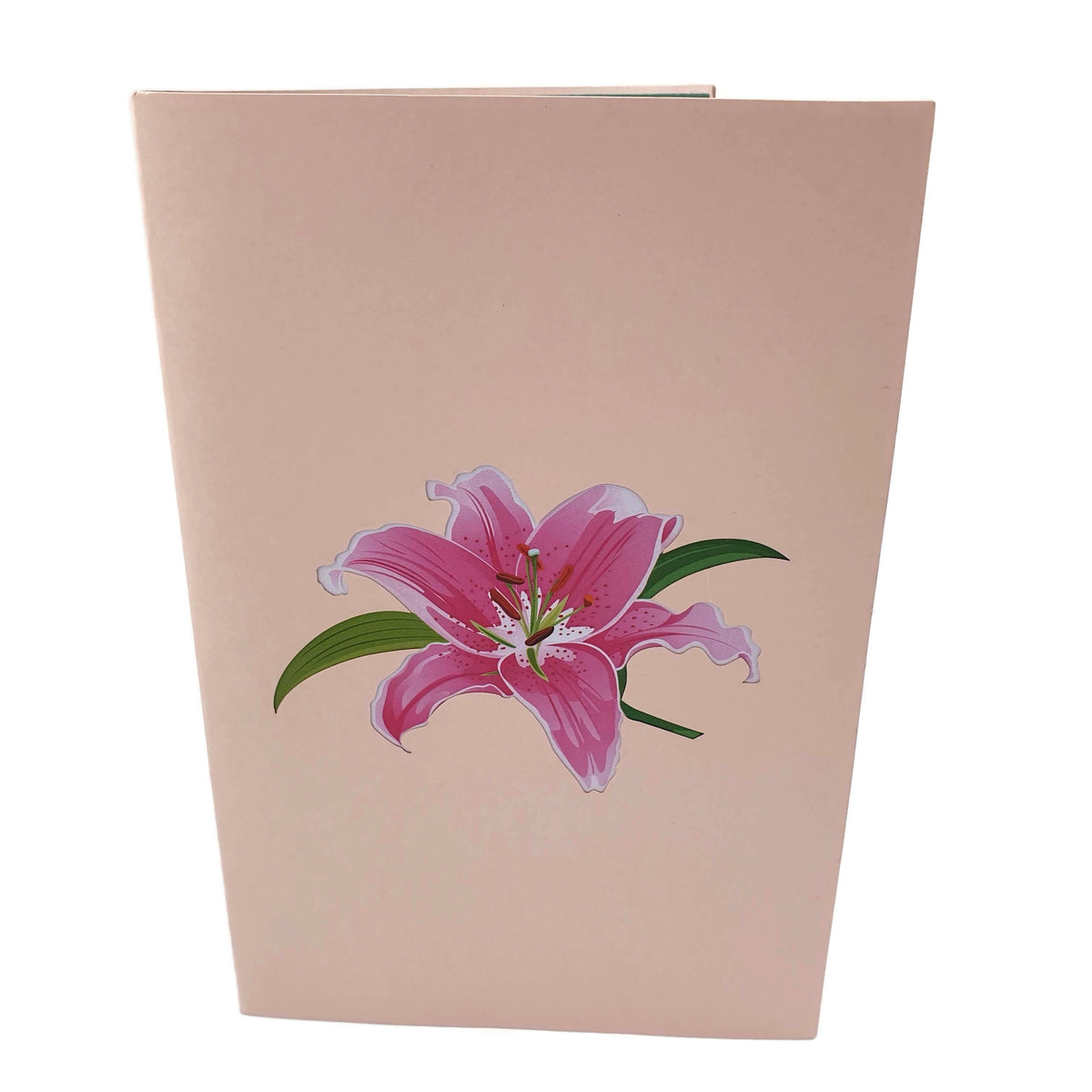 Color Pop Cards pink lily pop up greeting card with pink flower illustration on a pale pink cover.