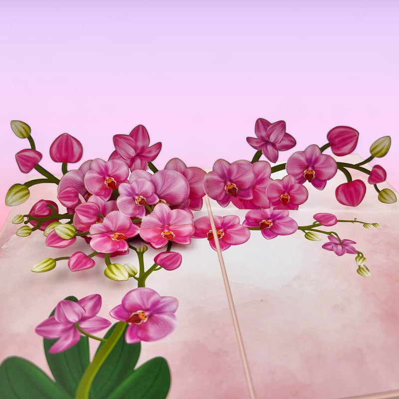 Color Pop Cards Pink Orchids Pop Up Greeting Card with green leaves, perfect for anniversaries or Mother's Day.