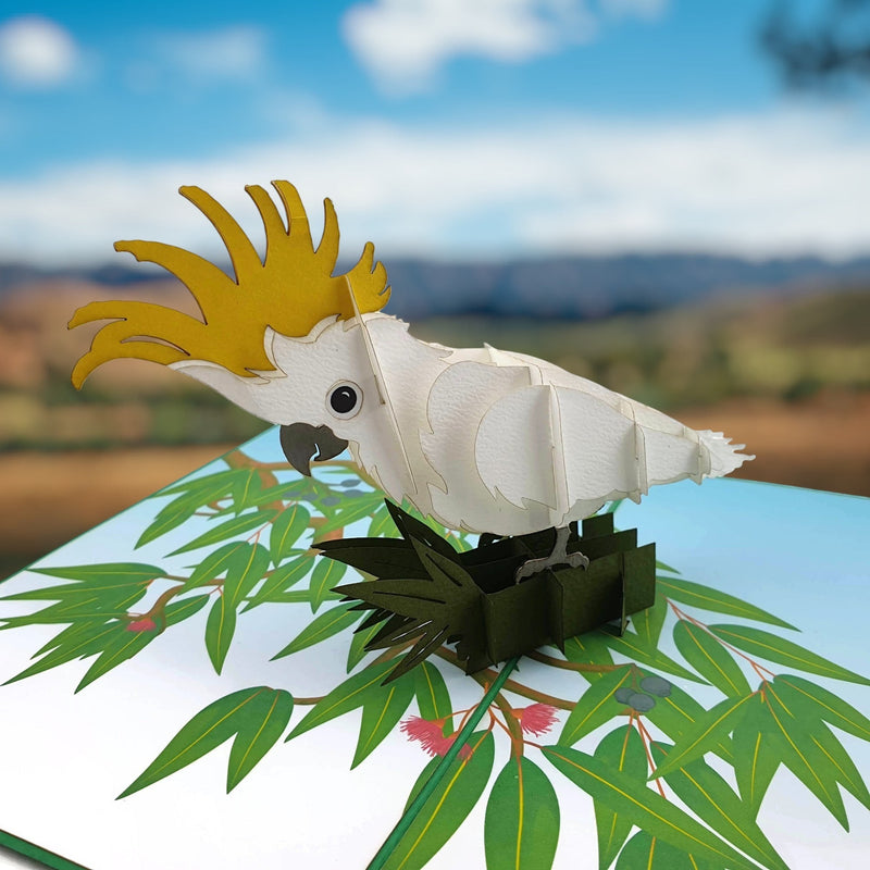Color Pop Cards Sulphur Crested Cockatoo 3D pop-up card with yellow crest and white feathers on a gum tree branch.