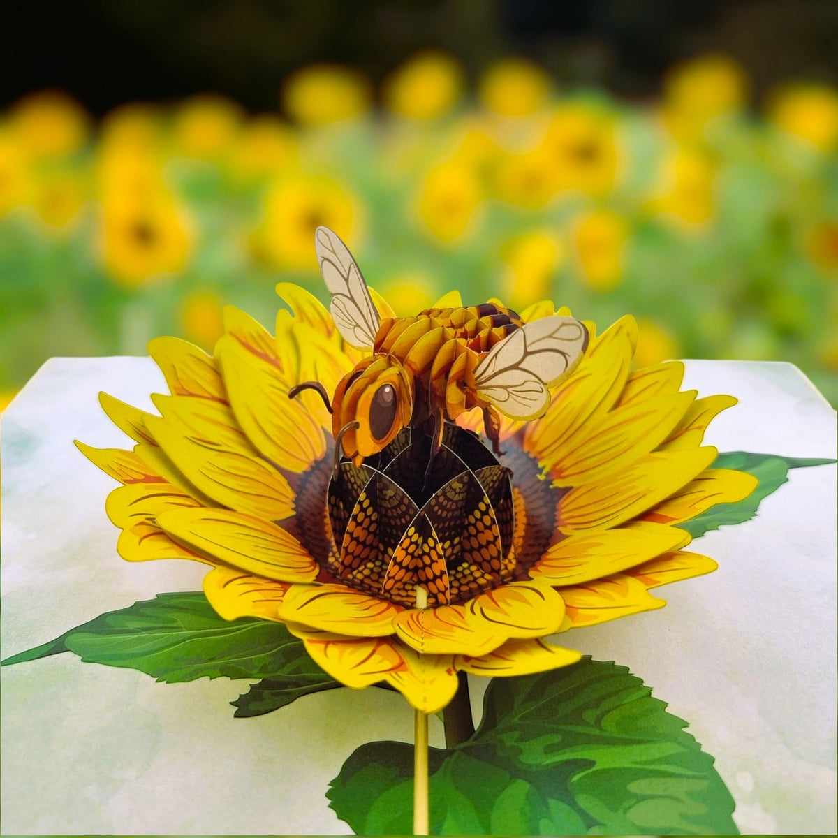 Color Pop Cards Sunflower Bee pop up card with intricate 3D bee on sunflower. Ideal for birthdays & Mother's Day.