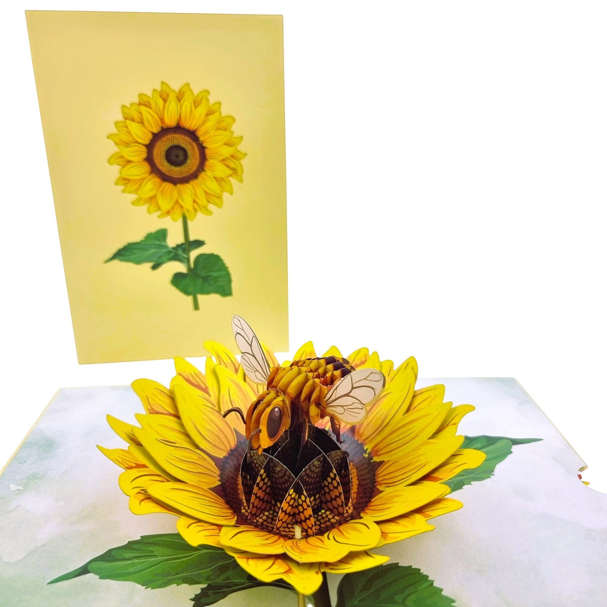 Color Pop Cards Sunflower Bee pop up card with 3D bee on sunflower. Ideal for birthdays & Mother's Day.