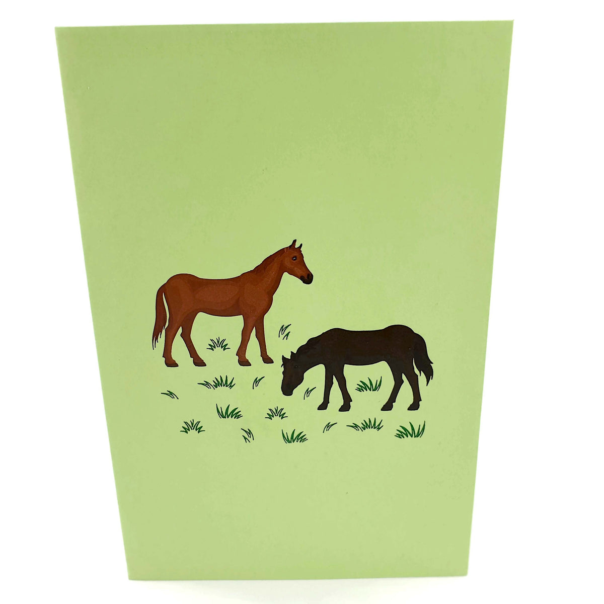 Color Pop Cards light green pop-up card featuring two horses, one brown and one dark brown, grazing in a grassy field.