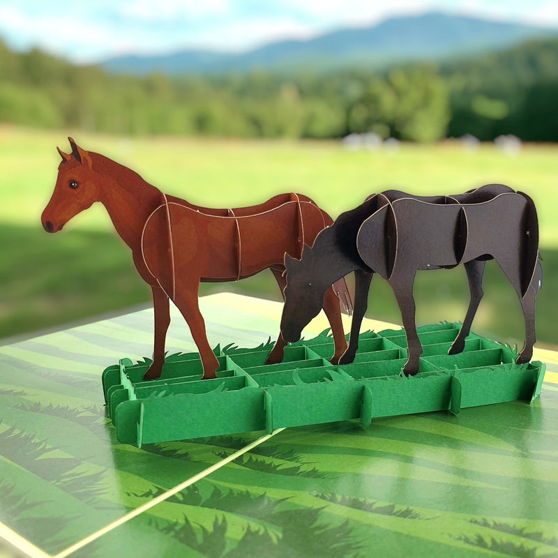 Color Pop Cards Two Horses Grazing Pop-Up Greeting Card. Features a brown horse and a black horse in a green field.