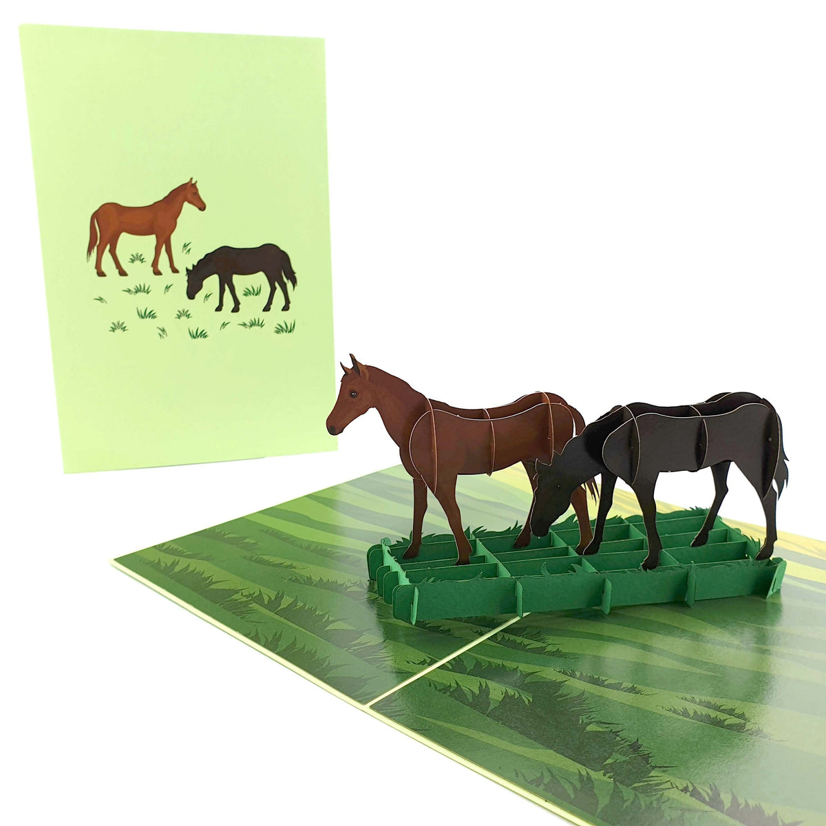 Color Pop Cards Two Horses Grazing Pop-Up Greeting Card with brown and black horses in a green field.