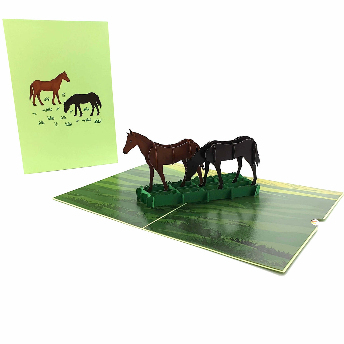 Color Pop Cards Two Horses Grazing Pop-Up Greeting Card with brown and black horses in a green field.