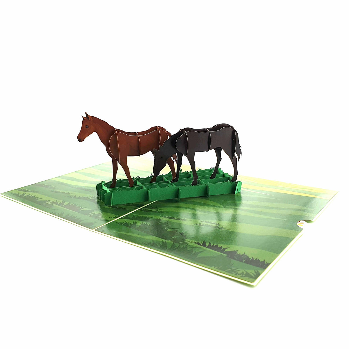 Color Pop Cards Two Horses Grazing Pop-Up Greeting Card with brown and black horses in a green field.