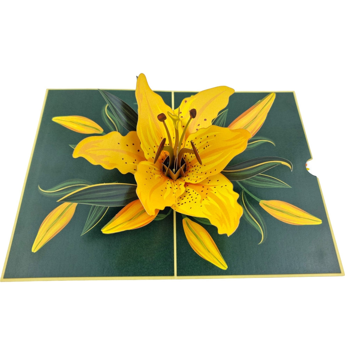 Color Pop Cards yellow lily pop up greeting card with dark green background and yellow accents.