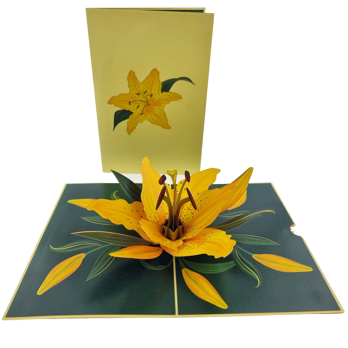Color Pop Cards yellow lily pop up card with green leaves, blank interior for personalization.