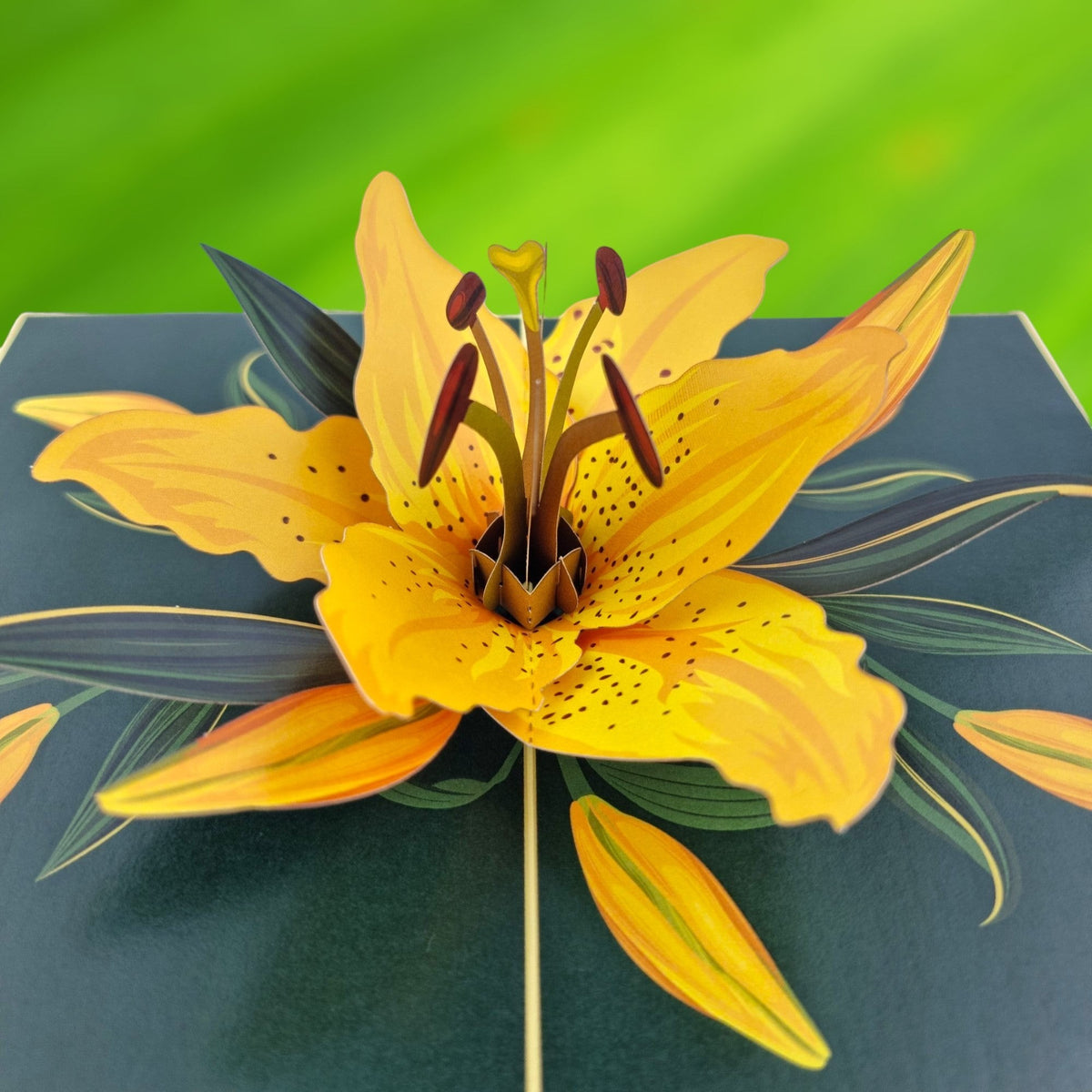 Color Pop Cards yellow lily pop up greeting card with dark green leaves and speckled petals.