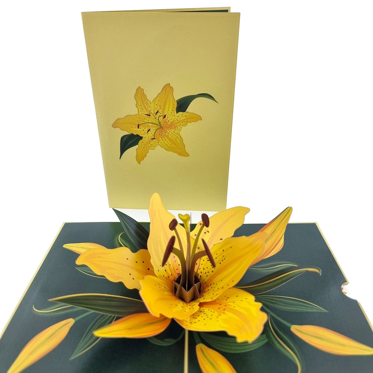 Color Pop Cards yellow lily pop up greeting card with intricate details and green leaves.