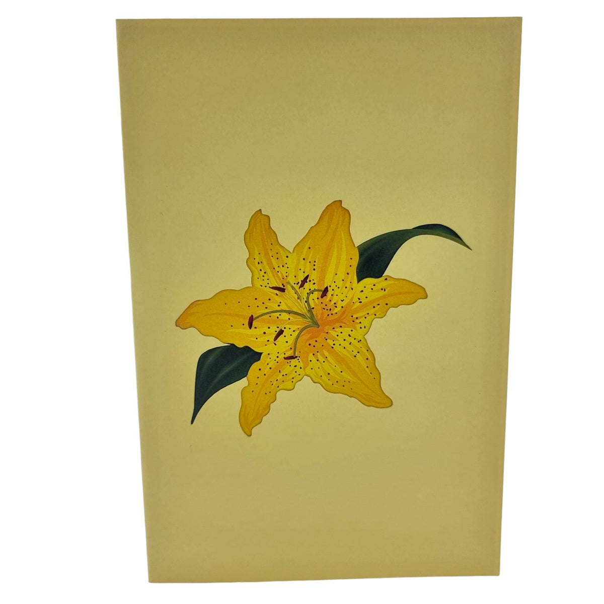 Color Pop Cards yellow lily pop up greeting card with green leaves on a pale yellow background.