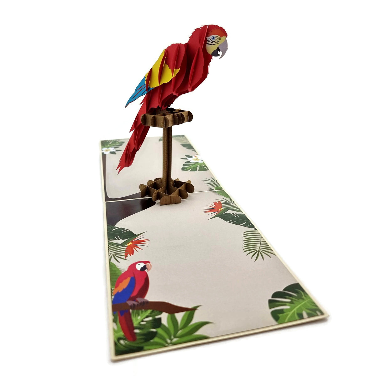Parrot Pop Up Card