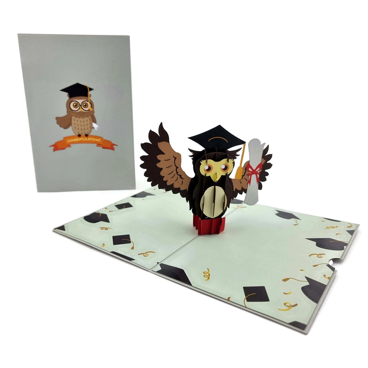 Graduation Owl Pop-Up Card